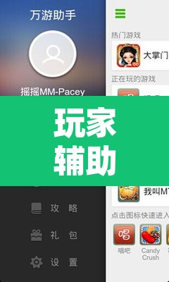 玩家辅助神器“手机打牌开挂辅助神器”其实确实有挂