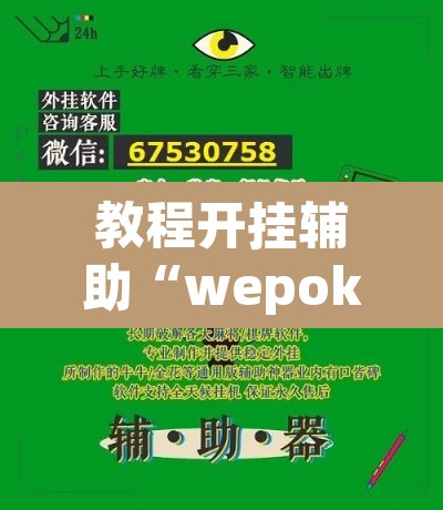 教程开挂辅助“wepoker透视脚本	”其实确实有挂