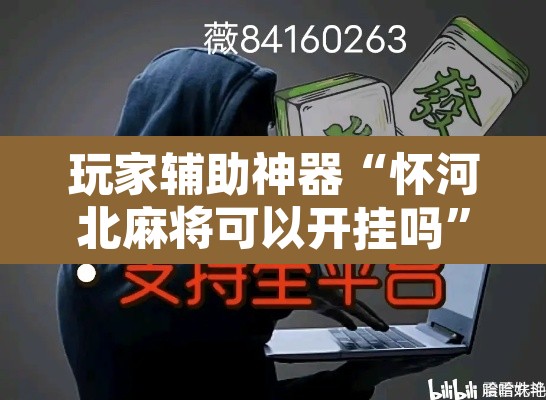 玩家辅助神器“怀河北麻将可以开挂吗	”附辅助神器开挂脚本详细步骤