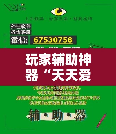 玩家辅助神器“天天爱海南麻将神器”开挂辅助脚本+详细开挂安装教程