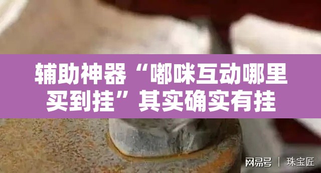 辅助神器“嘟咪互动哪里买到挂”其实确实有挂