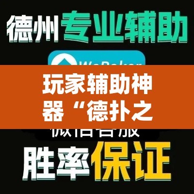 玩家辅助神器“德扑之星开挂透视神器”(透视挂)辅助透视教程