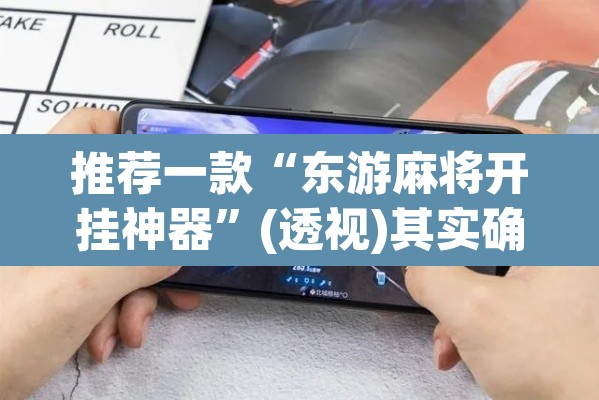 推荐一款“东游麻将开挂神器	”(透视)其实确实有挂