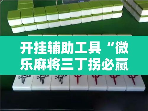 开挂辅助工具“微乐麻将三丁拐必赢神器”(透视)其实确实有挂