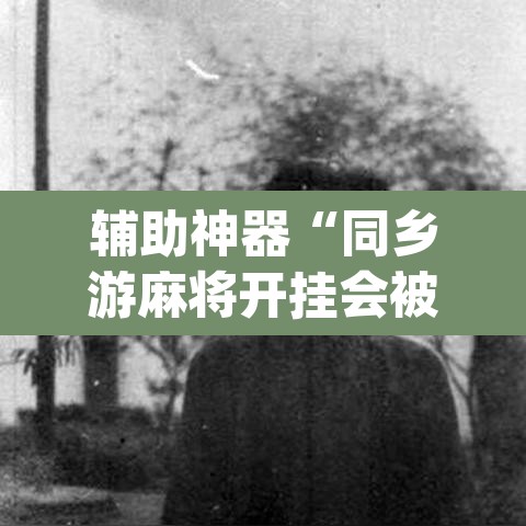 辅助神器“同乡游麻将开挂会被抓吗”(透视)其实确实有挂