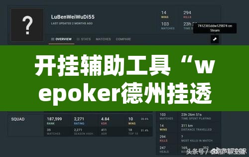 开挂辅助工具“wepoker德州挂透视辅助挂软件下载	”其实确实有挂