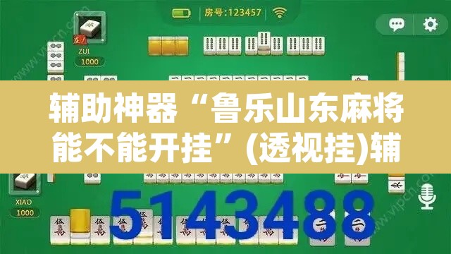 辅助神器“鲁乐山东麻将能不能开挂”(透视挂)辅助透视教程