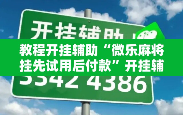 教程开挂辅助“微乐麻将挂先试用后付款	”开挂辅助脚本+详细开挂安装教程
