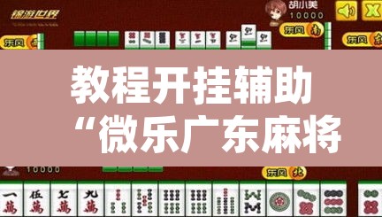 教程开挂辅助“微乐广东麻将开挂教程	”(透视)其实确实有挂