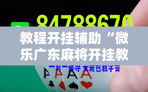 教程开挂辅助“微乐广东麻将开挂教程”(透视)其实确实有挂