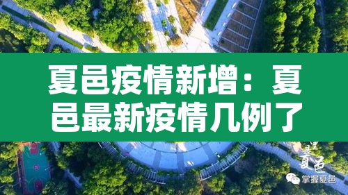 夏邑疫情新增:夏邑最新疫情几例了 夏邑疫情新增:夏邑最新疫情几例了