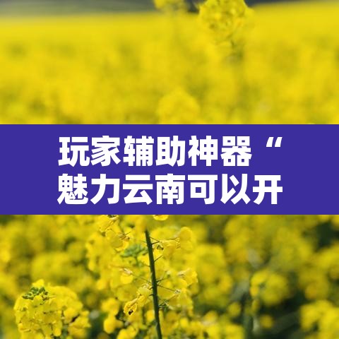 玩家辅助神器“魅力云南可以开挂吗有挂”附辅助神器开挂脚本详细步骤