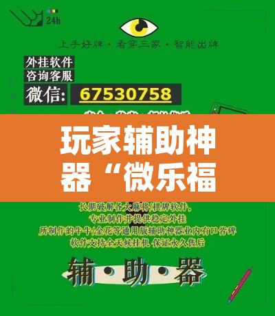 玩家辅助神器“微乐福建麻将万能开挂器	”附辅助神器开挂脚本详细步骤