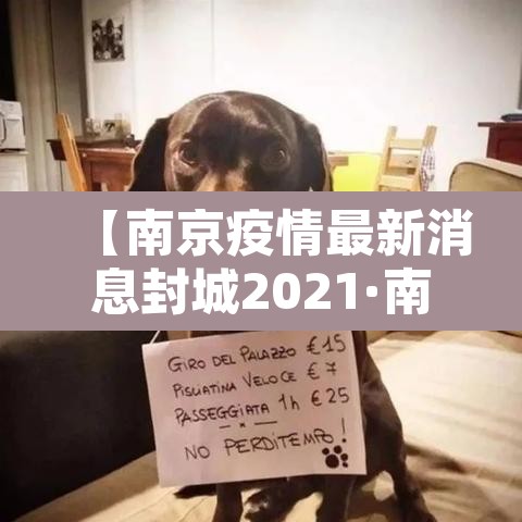 【南京疫情最新消息封城2021·南京疫情终于传出好消息】 【南京疫情最新消息封城2021·南京疫情终于传出好消息】