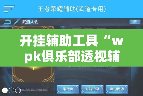 开挂辅助工具“wpk俱乐部透视辅助挂	”其实确实有挂