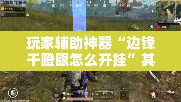 玩家辅助神器“边锋干瞪眼怎么开挂”其实确实有挂