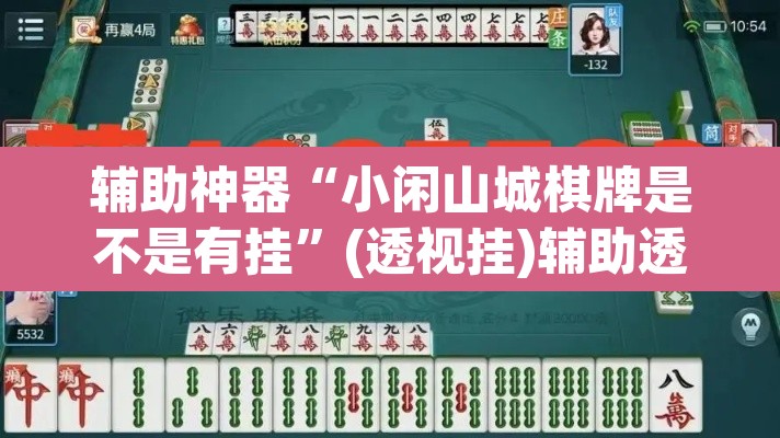 辅助神器“小闲山城棋牌是不是有挂”(透视挂)辅助透视教程