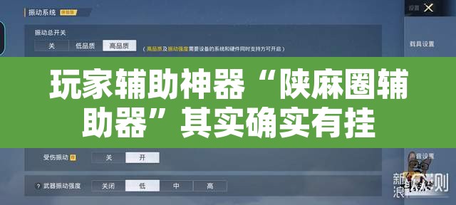 玩家辅助神器“陕麻圈辅助器	”其实确实有挂