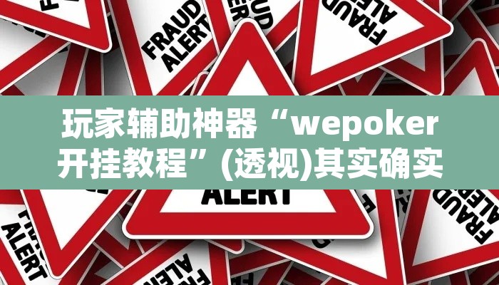 玩家辅助神器“wepoker开挂教程	”(透视)其实确实有挂