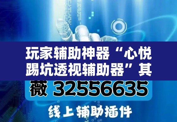 玩家辅助神器“心悦踢坑透视辅助器”其实确实有挂
