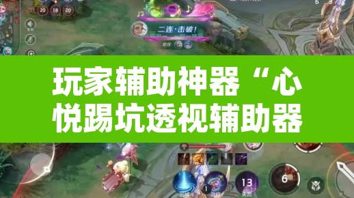玩家辅助神器“心悦踢坑透视辅助器”其实确实有挂