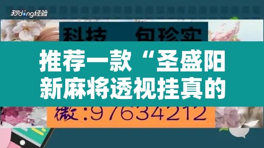 推荐一款“圣盛阳新麻将透视挂真的吗”其实确实有挂