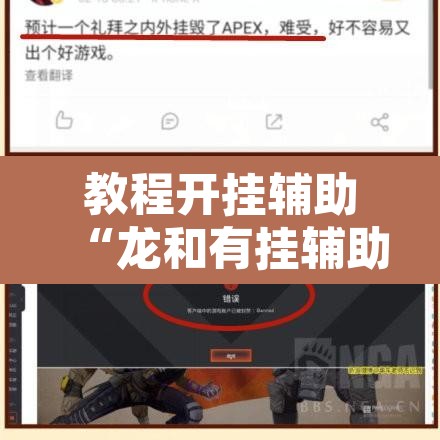 教程开挂辅助“龙和有挂辅助吗”其实确实有挂