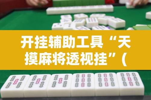 开挂辅助工具“天摸麻将透视挂	”(透视)其实确实有挂