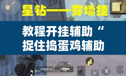 教程开挂辅助“捉住捣蛋鸡辅助开挂	”(透视挂)辅助透视教程
