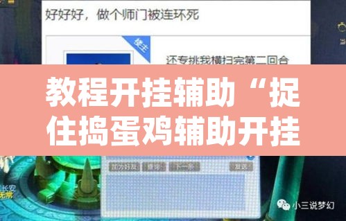教程开挂辅助“捉住捣蛋鸡辅助开挂”(透视挂)辅助透视教程