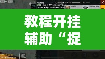 教程开挂辅助“捉住捣蛋鸡辅助开挂”(透视挂)辅助透视教程