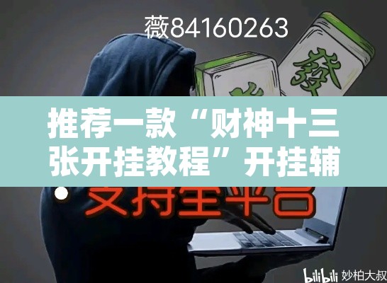 推荐一款“财神十三张开挂教程	”开挂辅助脚本+详细开挂安装教程