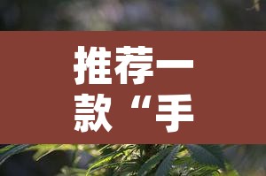 推荐一款“手机麻将必赢神软件”附辅助神器开挂脚本详细步骤