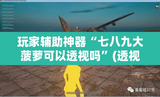 玩家辅助神器“七八九大菠萝可以透视吗”(透视挂)辅助透视教程