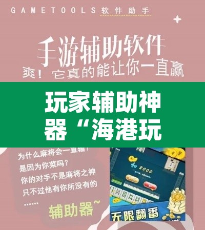 玩家辅助神器“海港玩游戏如何开挂”开挂辅助脚本+详细开挂安装教程