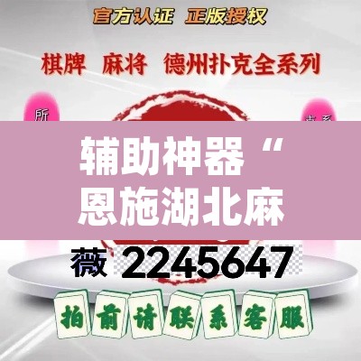 辅助神器“恩施湖北麻将有没有挂”(透视挂)辅助透视教程