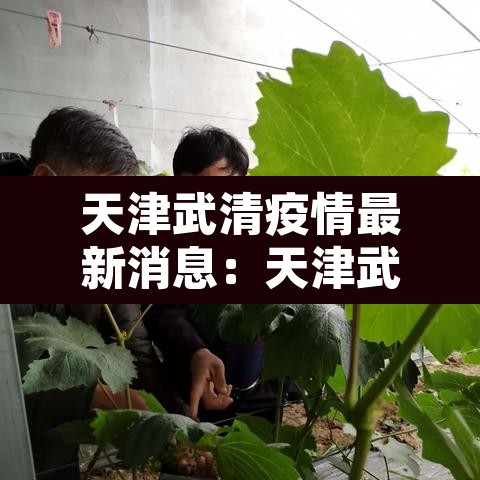 天津武清疫情最新消息：天津武清新冠肺炎最新消息