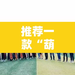 推荐一款“葫芦娃三宝有开挂辅助”其实确实有挂