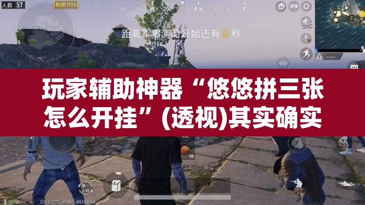 玩家辅助神器“悠悠拼三张怎么开挂	”(透视)其实确实有挂