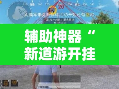 辅助神器“新道游开挂辅助	”(透视)其实确实有挂
