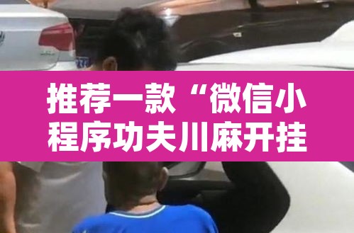 推荐一款“微信小程序功夫川麻开挂神器”其实确实有挂