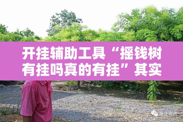 开挂辅助工具“摇钱树有挂吗真的有挂	”其实确实有挂