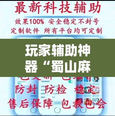 玩家辅助神器“蜀山麻将开挂神器”(透视挂)辅助透视教程