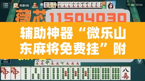 辅助神器“微乐山东麻将免费挂”附辅助神器开挂脚本详细步骤
