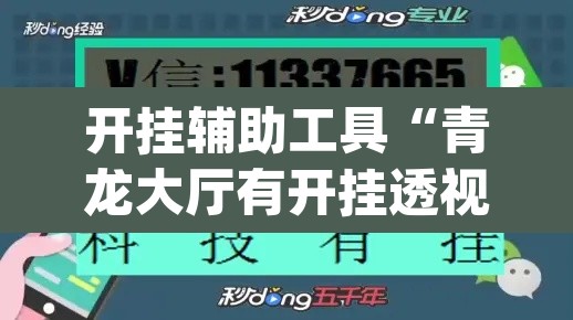 开挂辅助工具“青龙大厅有开挂透视吗	”(透视)其实确实有挂