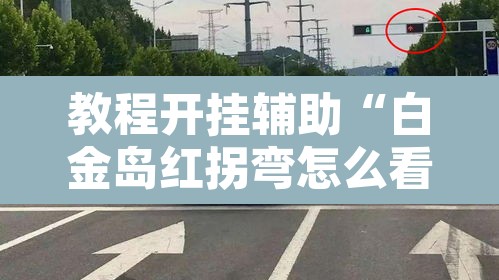 教程开挂辅助“白金岛红拐弯怎么看出人家开挂	”其实确实有挂