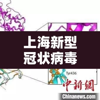 上海新型冠状病毒 → 上海新型冠状病毒16元收费条码 上海新型冠状病毒 → 上海新型冠状病毒16元收费条码