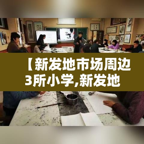 【新发地市场周边3所小学,新发地市场地址】