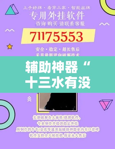 辅助神器“十三水有没有挂可以买	”开挂辅助脚本+详细开挂安装教程
