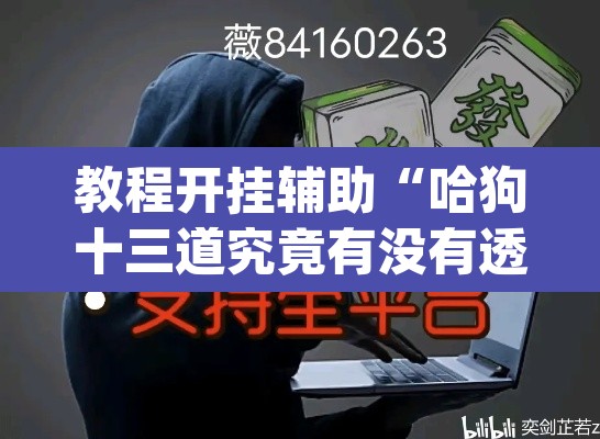 教程开挂辅助“哈狗十三道究竟有没有透视挂	”(透视)其实确实有挂